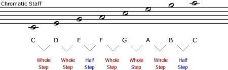 Five-line chromatic staff with a C major scale and whole steps and half steps labelled